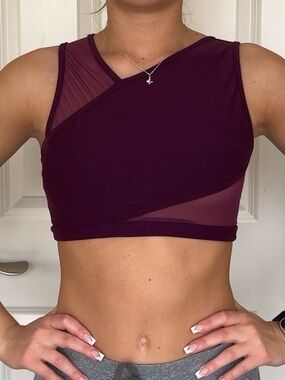 Blue Water Dance Plum bra top Size S